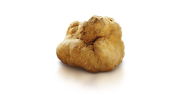 MACINATO TARTUFO BIANCHETTO - immagine 2