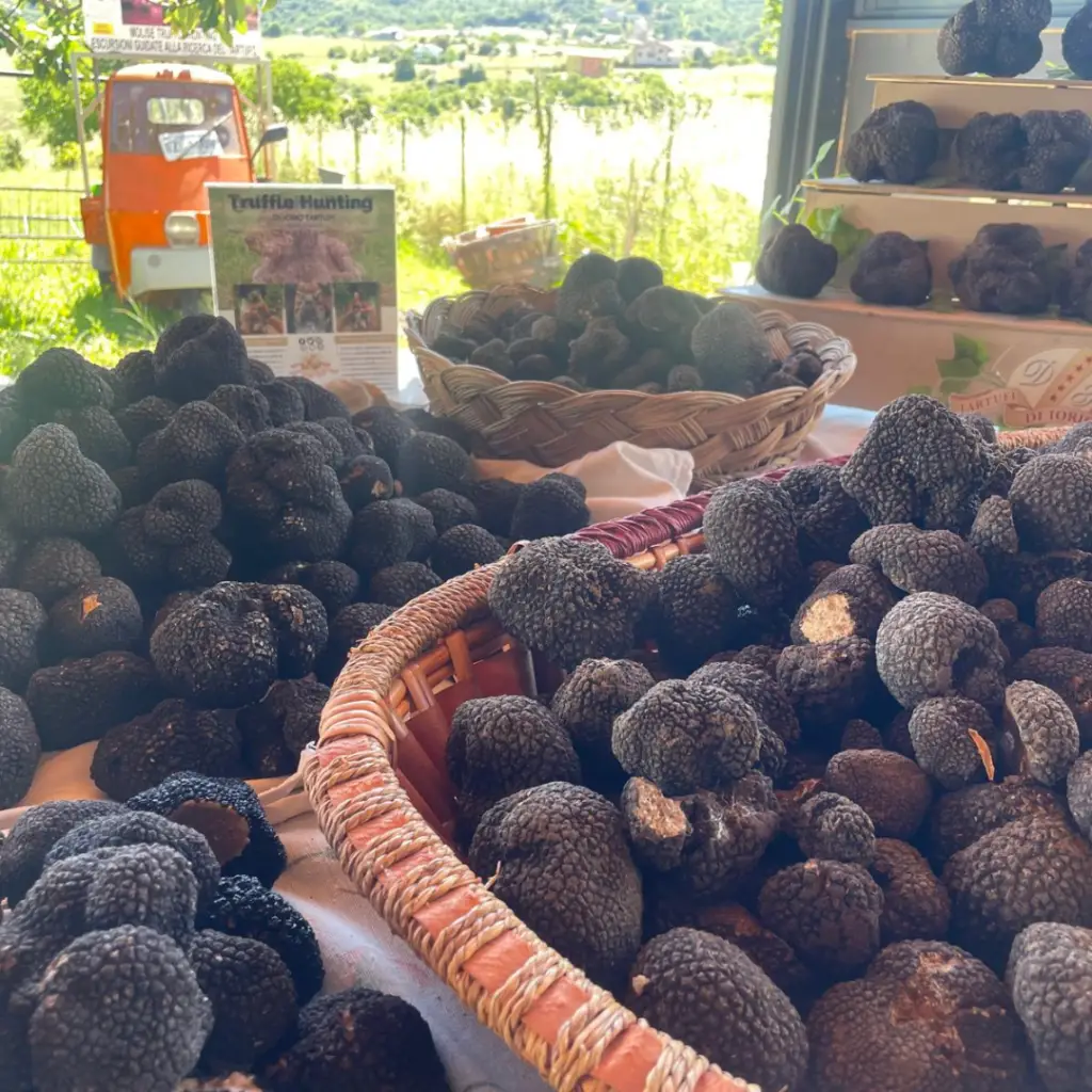 di Iorio Tartufi Tartufo fresco