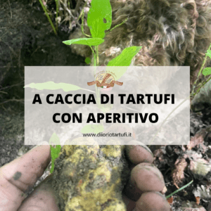 ESCURSIONI GUIDATE IN MOLISE CAMPOBASSO - DI IORIO TARTUFI
