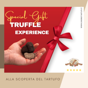 VOUCHER E GIFT CARD