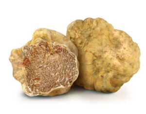 TARTUFO BIANCO DI IORIO 