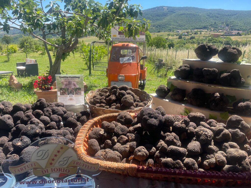 Molise tartufi