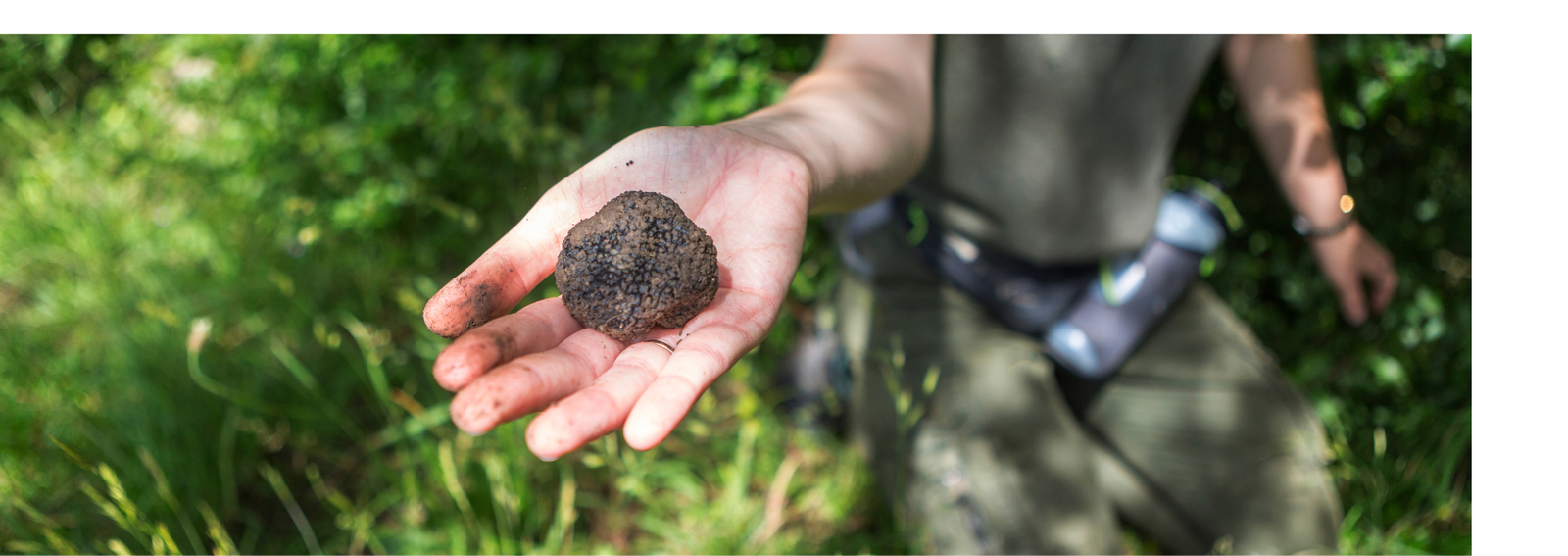 Truffle Hunting Experience Di Iorio Tartufi in Molise