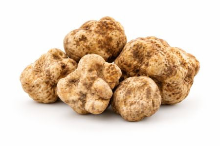 Tartufo Bianco Pregiato fresco Tuber magnatum Pico Di Iorio Tartufi