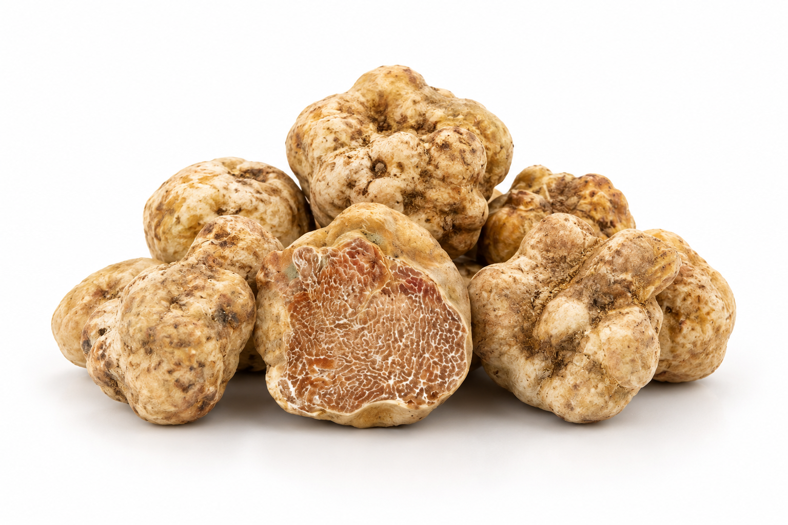 Tartufo Bianco Pregiato fresco Tuber magnatum Pico Di Iorio Tartufi