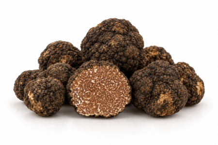 Tartufo Nero Estivo fresco Tuber aestivum Vitt Di Iorio Tartufi