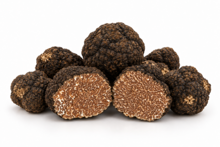 Tartufo Nero Estivo fresco Tuber aestivum Vitt Di Iorio Tartufi