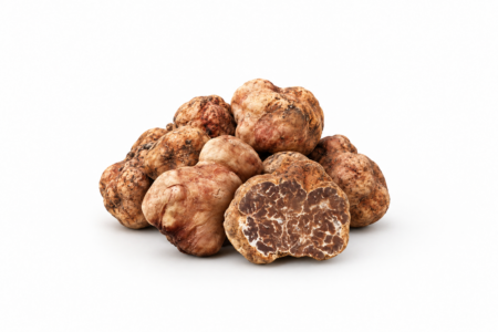 Tartufo Bianchetto fresco Tuber albidum Di Iorio Tartufi