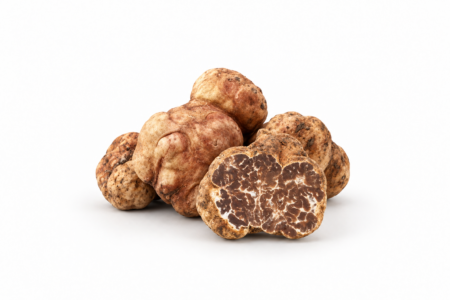 Tartufo Bianchetto fresco Tuber albidum Di Iorio Tartufi