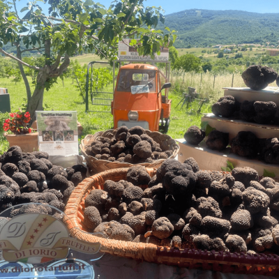 di Iorio Tartufi Tartufo fresco